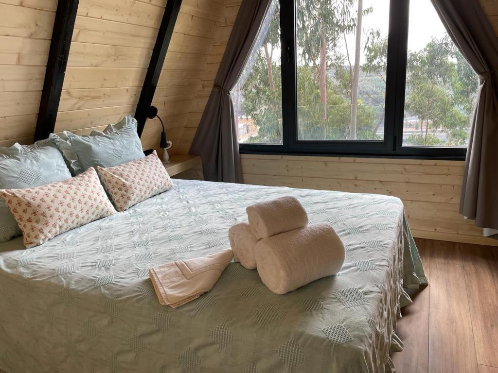 Medronho D'Ouro Bungalows Foz do Sousa Zewnętrze zdjęcie